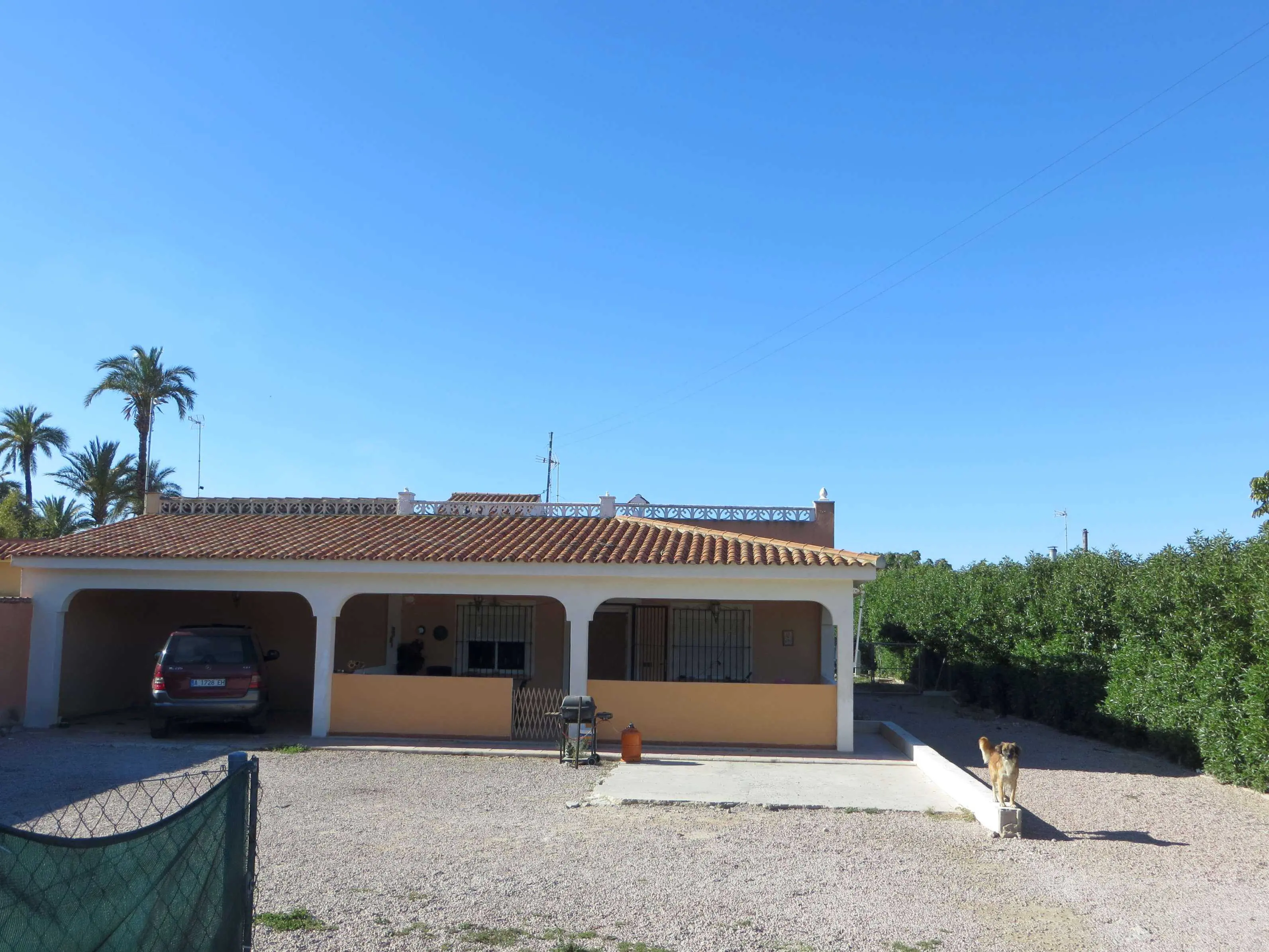 Finca rústica en Elche