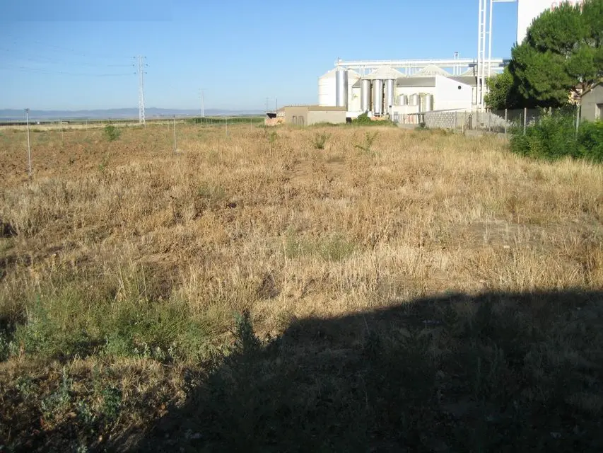 Terreno en Sariñena