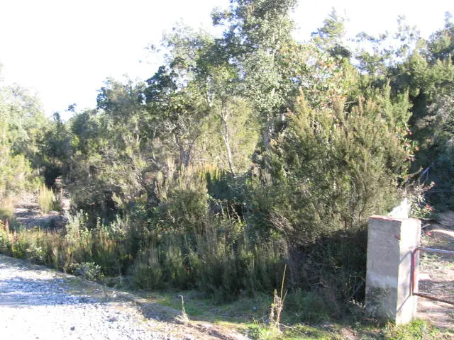 Terreno en Llagostera