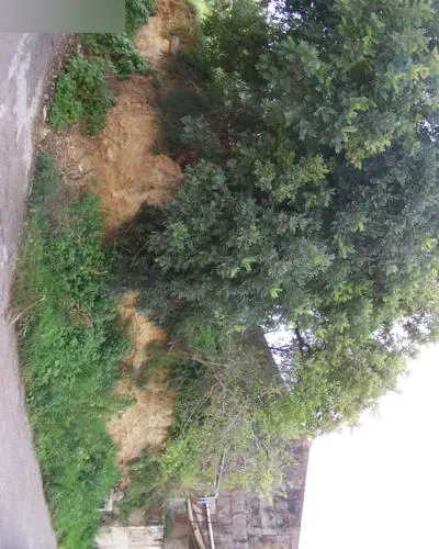 Terreno en Maria de la Salut