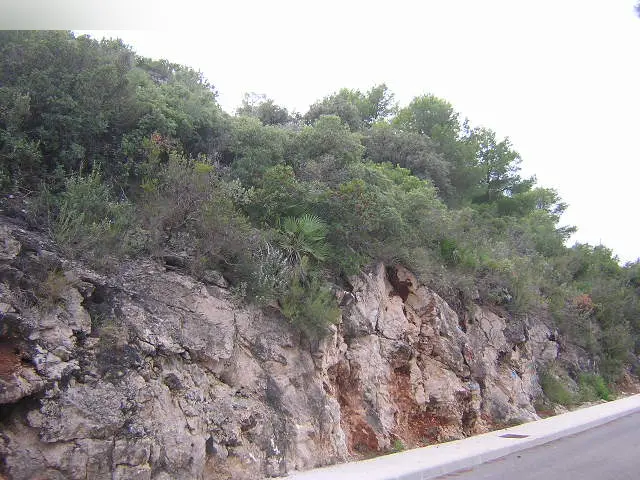 Terreno en Pego