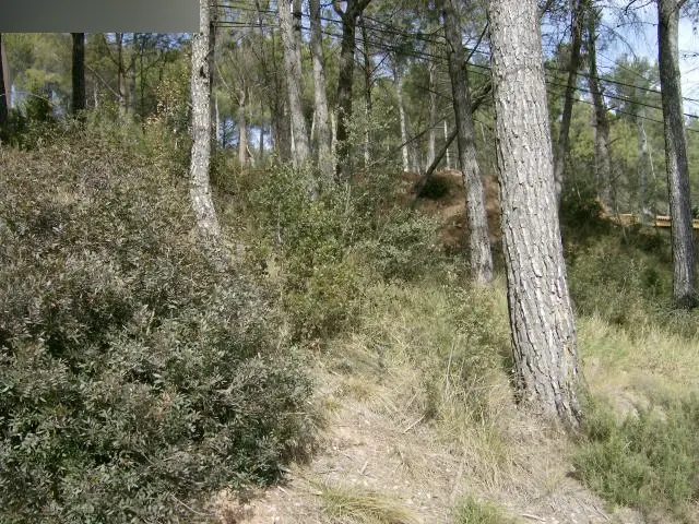 Terreno en Fonollosa
