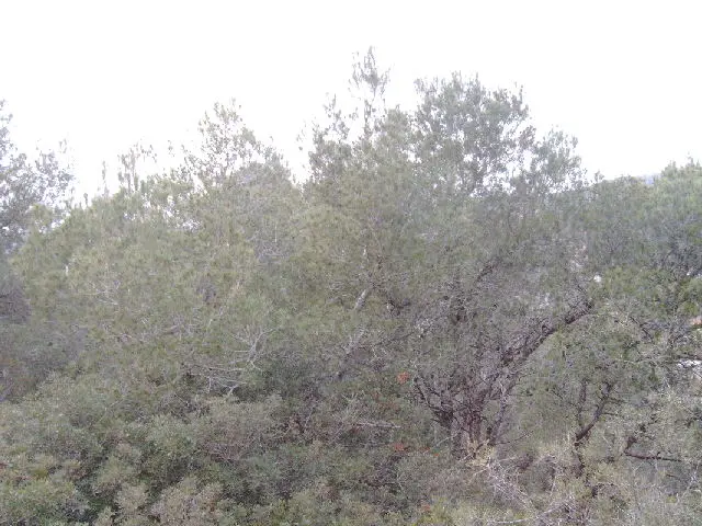 Terreno en Canyelles