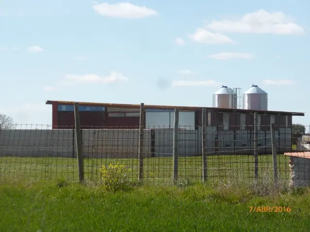 Finca rústica en Olivares de Duero