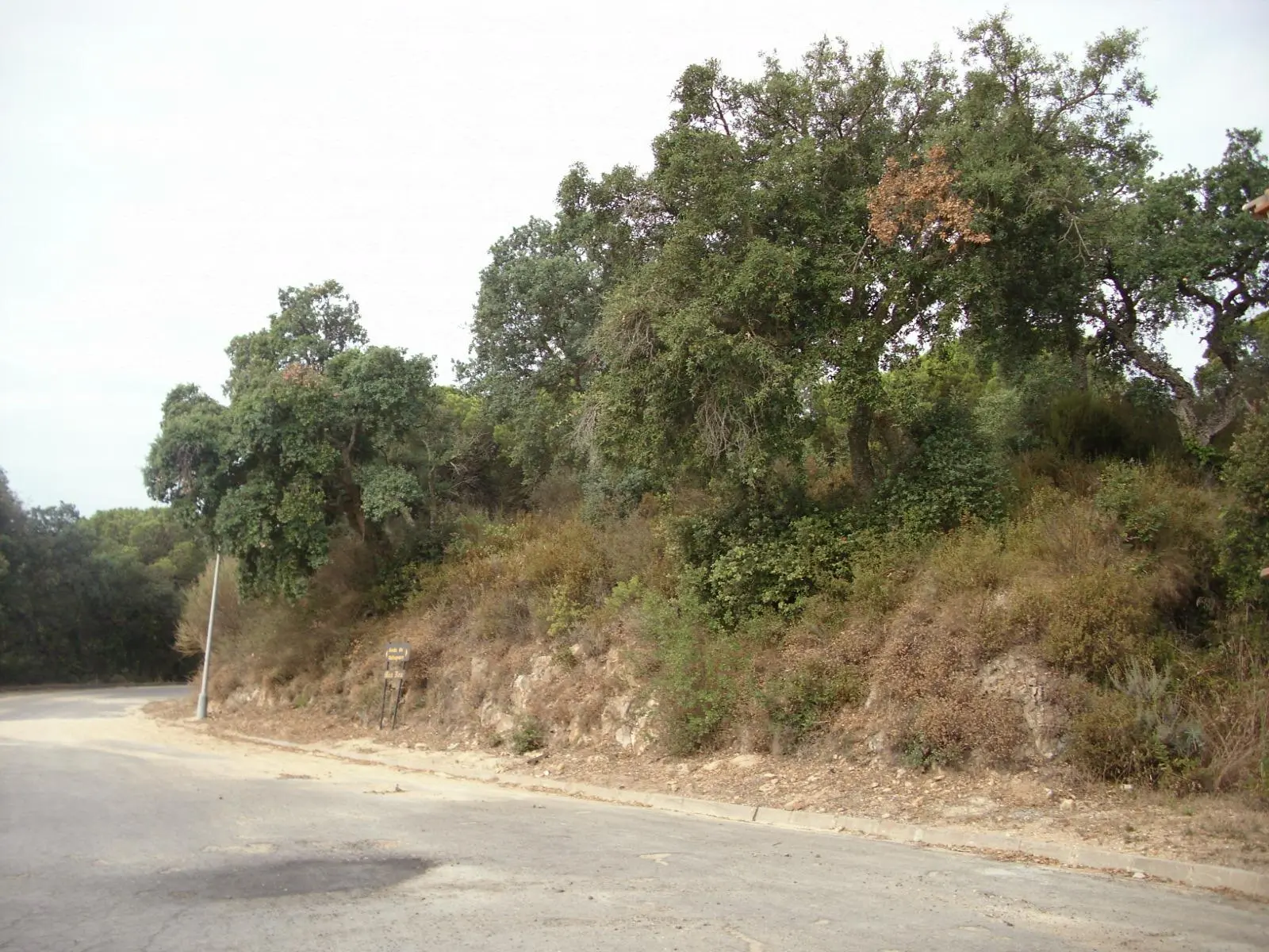 Terreno en Platja d'Aro i s'Agaró Castell d'Aro