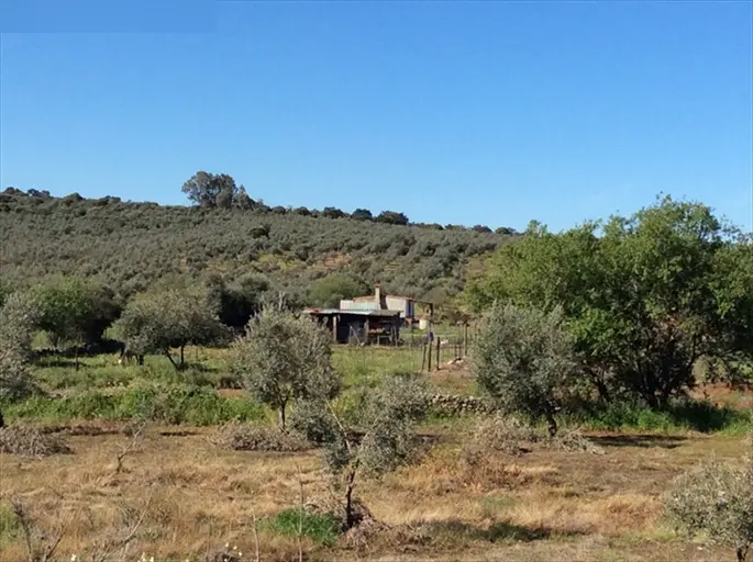 Finca rústica en Navalvillar de Pela