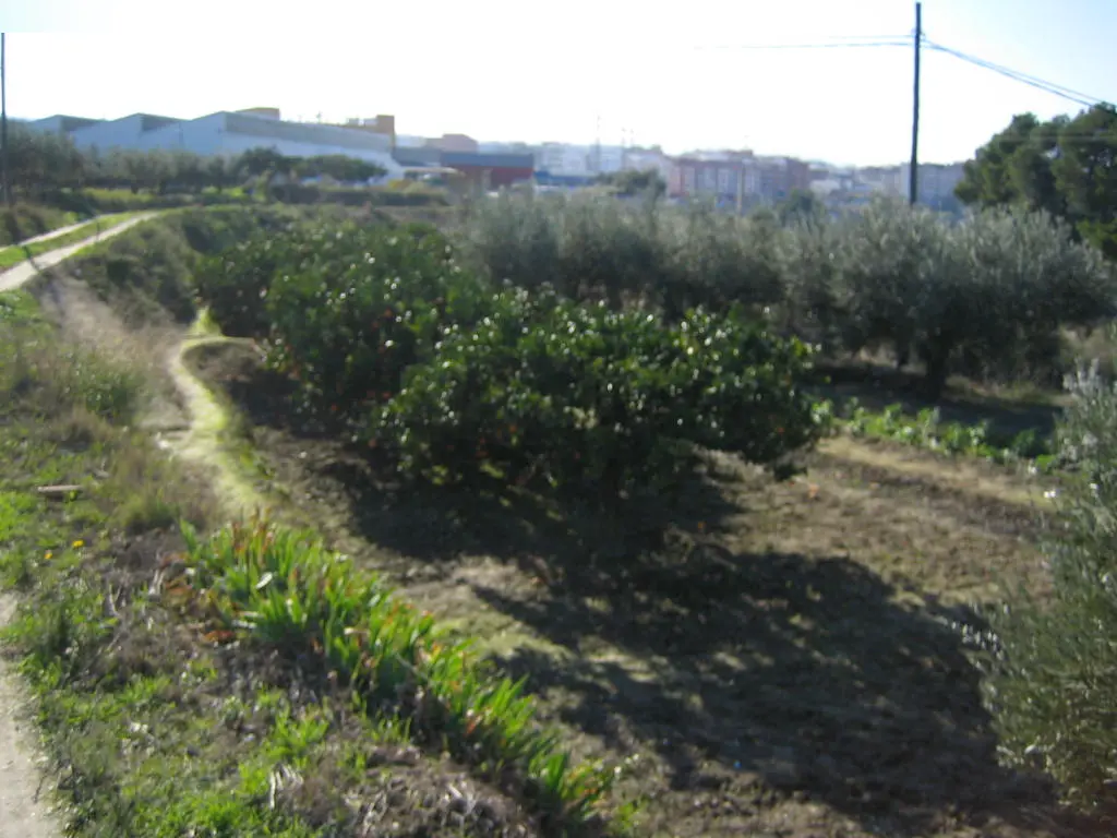Finca rústica en Ontinyent
