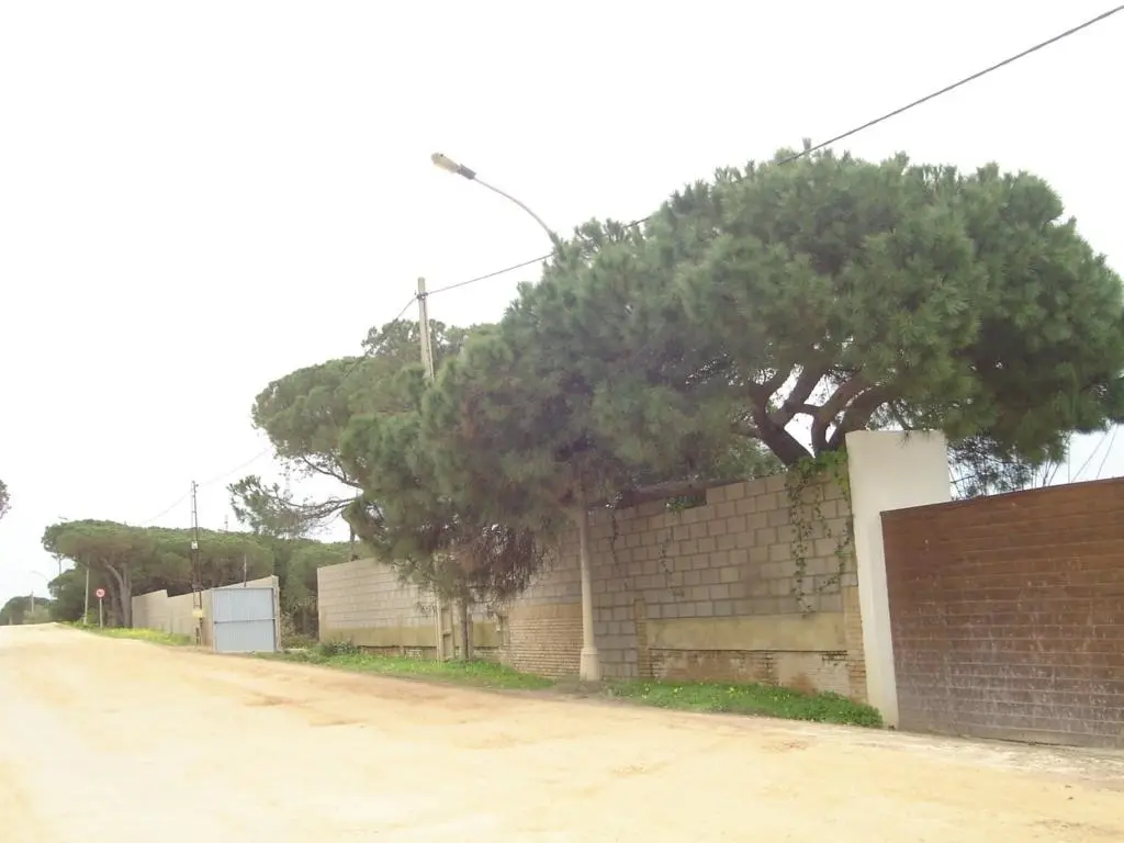 Terreno en Palos de la Frontera
