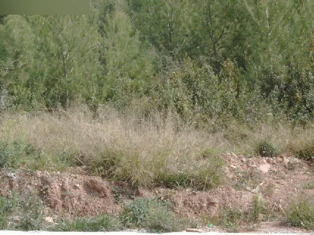 Terreno en Bigues i Riells del Fai