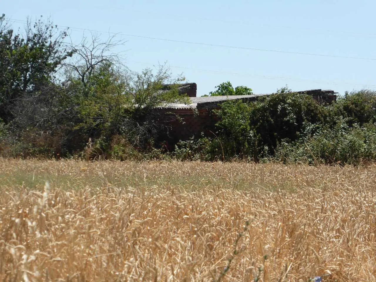 Finca rústica en Talavera de la Reina