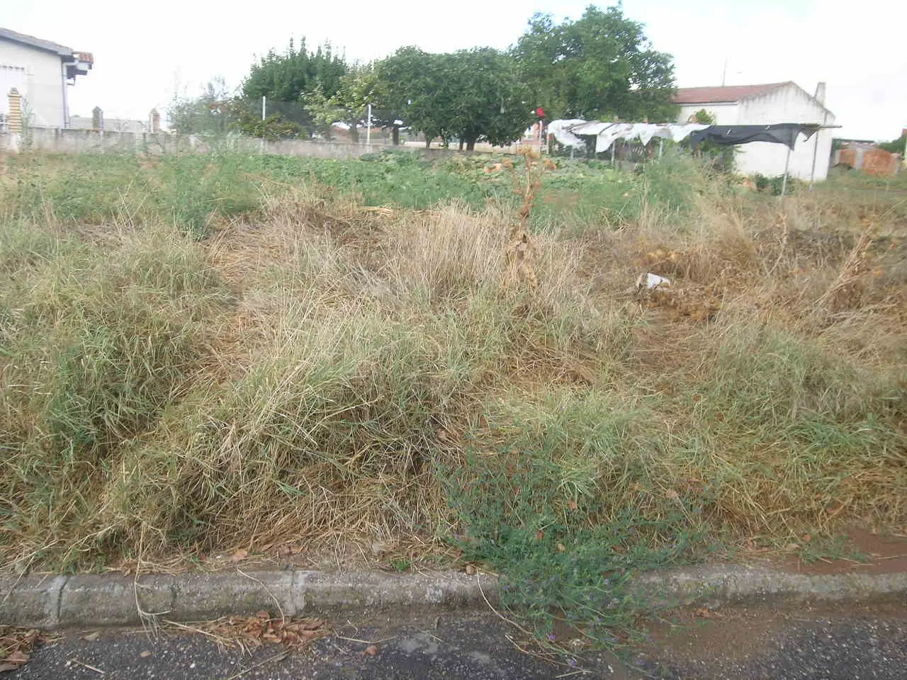 Terreno en Aldearrubia